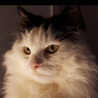 JoannaMikka-Morales (@joannamikka) 's Twitter Profile Photo JoannaMikka-Morales (@joannamikka) 's Twitter Profile Photo