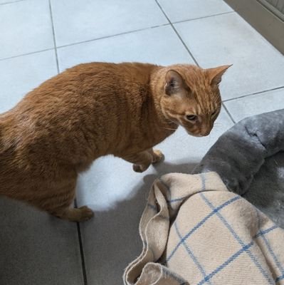 peterHuang96226's profile picture. 