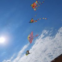 Fra🧜🏼‍♀️ (@lafrancie) 's Twitter Profile Photo