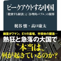 高口康太@新刊『ピークアウトする中国』発売中 (@kinbricksnow) 's Twitter Profile Photo 高口康太@新刊『ピークアウトする中国』発売中 (@kinbricksnow) 's Twitter Profile Photo