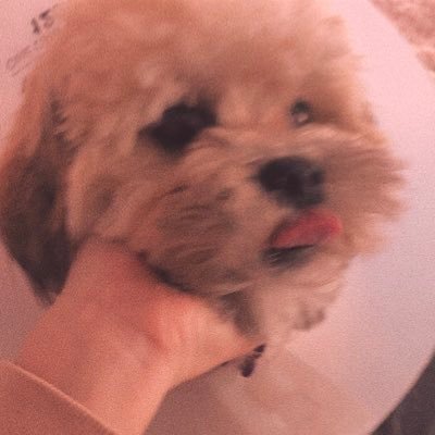 작은 민지 처럼⁷さんのプロフィール画像