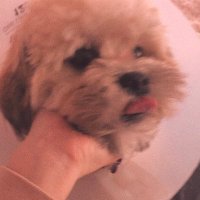 작은 민지 처럼⁷ (@minji_munji) 's Twitter Profile Photo 작은 민지 처럼⁷ (@minji_munji) 's Twitter Profile Photo