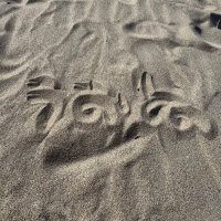 あも (@amor_wnhs) 's Twitter Profile