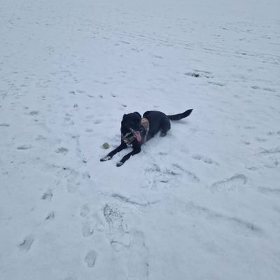 SarahPenny7's profile picture. 