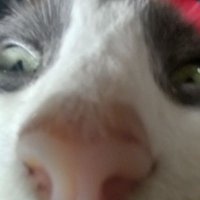 Misaki (@misaki22628816) 's Twitter Profile Photo