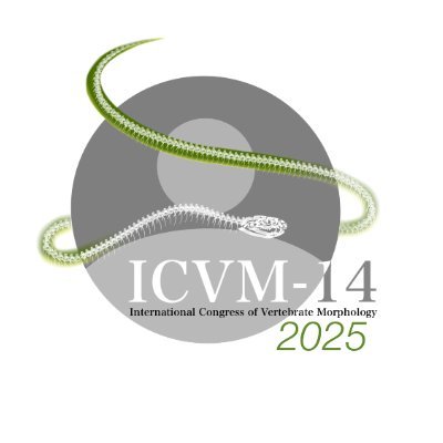 Official ISVM twitter - follow for updates on the next International Congress of Vertebrate Morphology - ICVM-14 virtual meeting in 2025