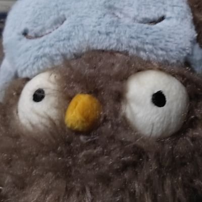 Bobsmartsheep's profile picture. 今年要努力学绳！/深圳/欢迎私信约绳/switch/真的不是国际大师，是朋友间的调侃🥹