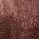 Manstroker95 (@manstroker730) 's Twitter Profile