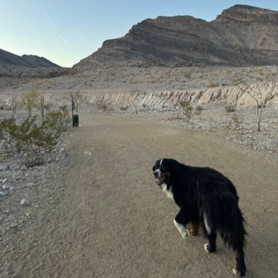 TimSchaeffner's profile picture. Depressed mavs fan