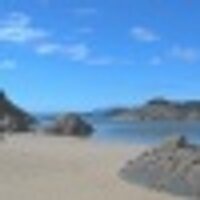 Sheona Jenkinson (@sheonaj) 's Twitter Profile Photo Sheona Jenkinson (@sheonaj) 's Twitter Profile Photo