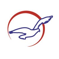 Air Peace (@flyairpeace) 's Twitter Profile