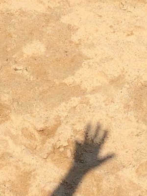 SEGO205's profile picture. 