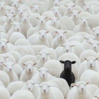 Undercover Billionaire (@ucbillionaire) 's Twitter Profile Photo