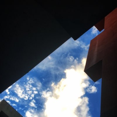 pedroisnothere's profile picture. Never travels. Always gets lost. Changes jobs. Disappears.
