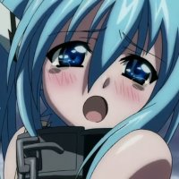 y4cat (@y4cat) 's Twitter Profile