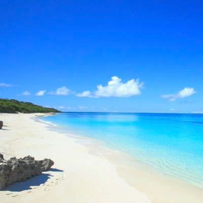 zoywecxTOZEFEO6's profile picture. 