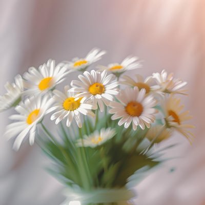 maikoderakkusu's profile picture. 誠也くん貴方には華があります。いっぱい泣いた分いっぱい幸せが来ます。デビューおめでとう㊗️ そしてIMP💚寄りの箱推しです。