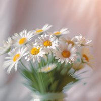まーこ (@maikoderakkusu) 's Twitter Profile