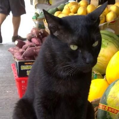 mhg_mgs's profile picture. 