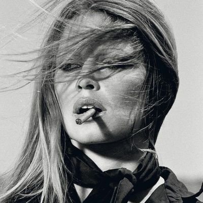 theNik4a's profile picture. Live Fast, Love Hard, Die Young.🦢