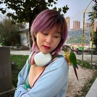 Lisa Miller (@lisamillerweb) 's Twitter Profile
