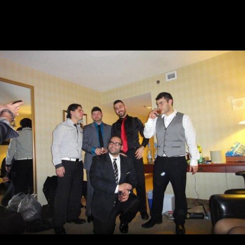 bashjarmash's profile picture. 