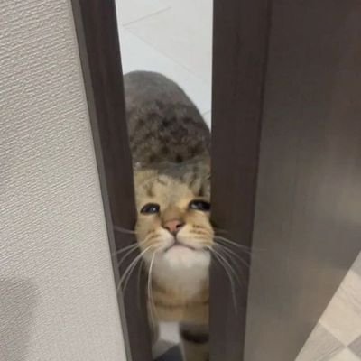 ceyoさんのプロフィール画像