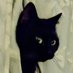 Bast109 (@bellathecat109) Twitter profile photo Bast109 (@bellathecat109) Twitter profile photo