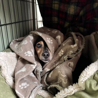 BMcGk's profile picture. 