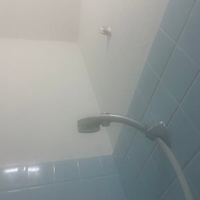 11119688adwtw's profile picture. わんちゃん、ポケカ、ワンピカ楽しいー！！