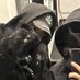 𝗦𝗵𝗼𝗯𝗶 (@s9843_) Twitter profile photo 𝗦𝗵𝗼𝗯𝗶 (@s9843_) Twitter profile photo