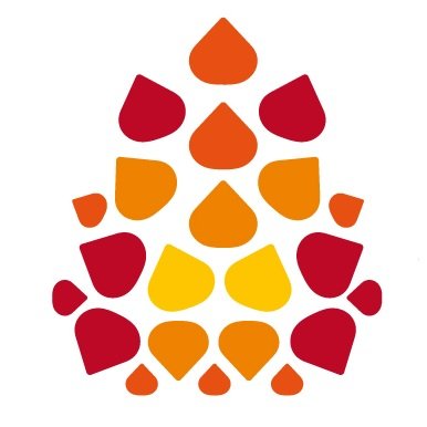 Federació Catalana de l'Esplai Profile