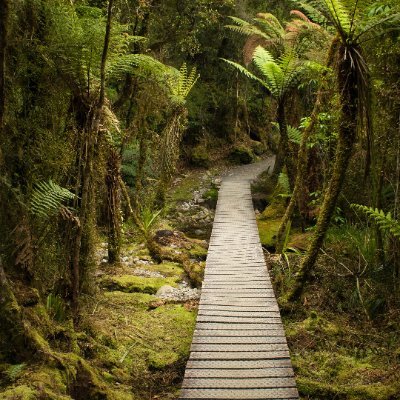 JaneWatson686's profile picture. Full time Web3 Influencer
$BTC, $TOMI, NFTs and tokens
#cryptoenthusiast