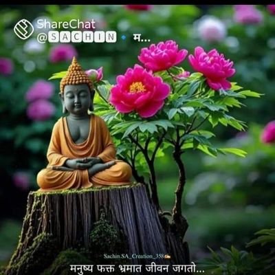 ARANVIR260934's profile picture. 