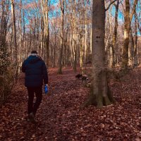 James Jay (@jacquesdrums1) 's Twitter Profile
