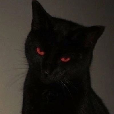 Glitch_mana_13's profile picture. 