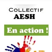 AESH en action (@avsaeshgo) 's Twitter Profile Photo AESH en action (@avsaeshgo) 's Twitter Profile Photo