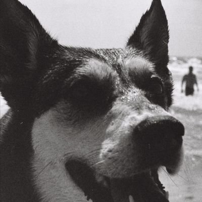 MrMoe__1's profile picture. Trust God