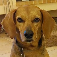 Vicky 🇮🇱🇬🇷🇺🇦 (@vickyfnd) 's Twitter Profile Photo Vicky 🇮🇱🇬🇷🇺🇦 (@vickyfnd) 's Twitter Profile Photo