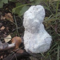 SJK (@sk66kennedy) 's Twitter Profile