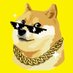 DogeX (@dogex_alpha) Twitter profile photo DogeX (@dogex_alpha) Twitter profile photo