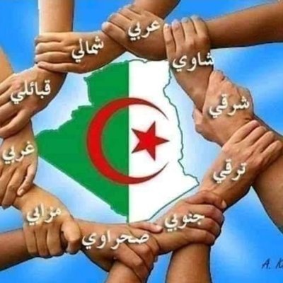 Independent journalist #Maghreb Studies Researcher focus mainly on #migrants’ integration & post-integration.