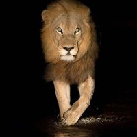 Burhanudin Simba🌎 (@ecosystempundit) 's Twitter Profile Photo Burhanudin Simba🌎 (@ecosystempundit) 's Twitter Profile Photo