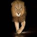 Burhanudin Simba๐ (@ecosystempundit) Twitter profile photo Burhanudin Simba๐ (@ecosystempundit) Twitter profile photo