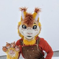 Delrin / Radler π³οΈβπ (@delrinthewolf) 's Twitter Profile