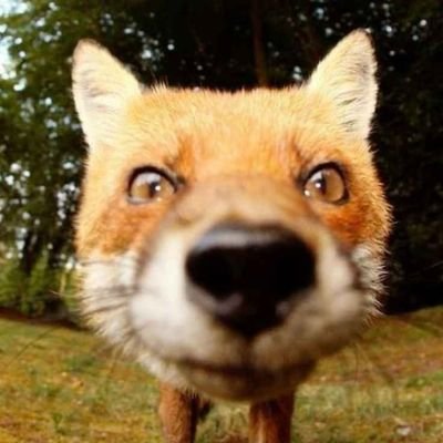 brl__69sky's profile picture. 