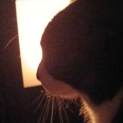 Ralesita1's profile picture. She/her  |  StayBuddy