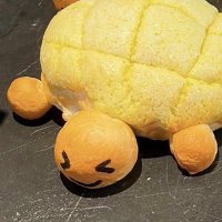 ๐ชโจ (@microplasticism) 's Twitter Profile Photo ๐ชโจ (@microplasticism) 's Twitter Profile Photo