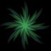 StarGoid (@stargoid) Twitter profile photo StarGoid (@stargoid) Twitter profile photo