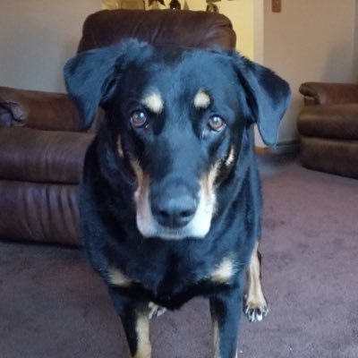 fishingis1st's profile picture. I am a happily married Christian, worked hard my entire life. Now I relax and Love fishing with my grandchildren as often possible. I thank God for my family.